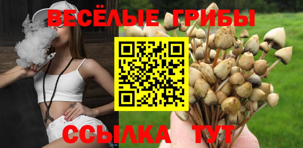 Псилоцибиновые грибы мицелий  Вход с VPN  Тюмень  Галлюциногенные грибы мицелий 